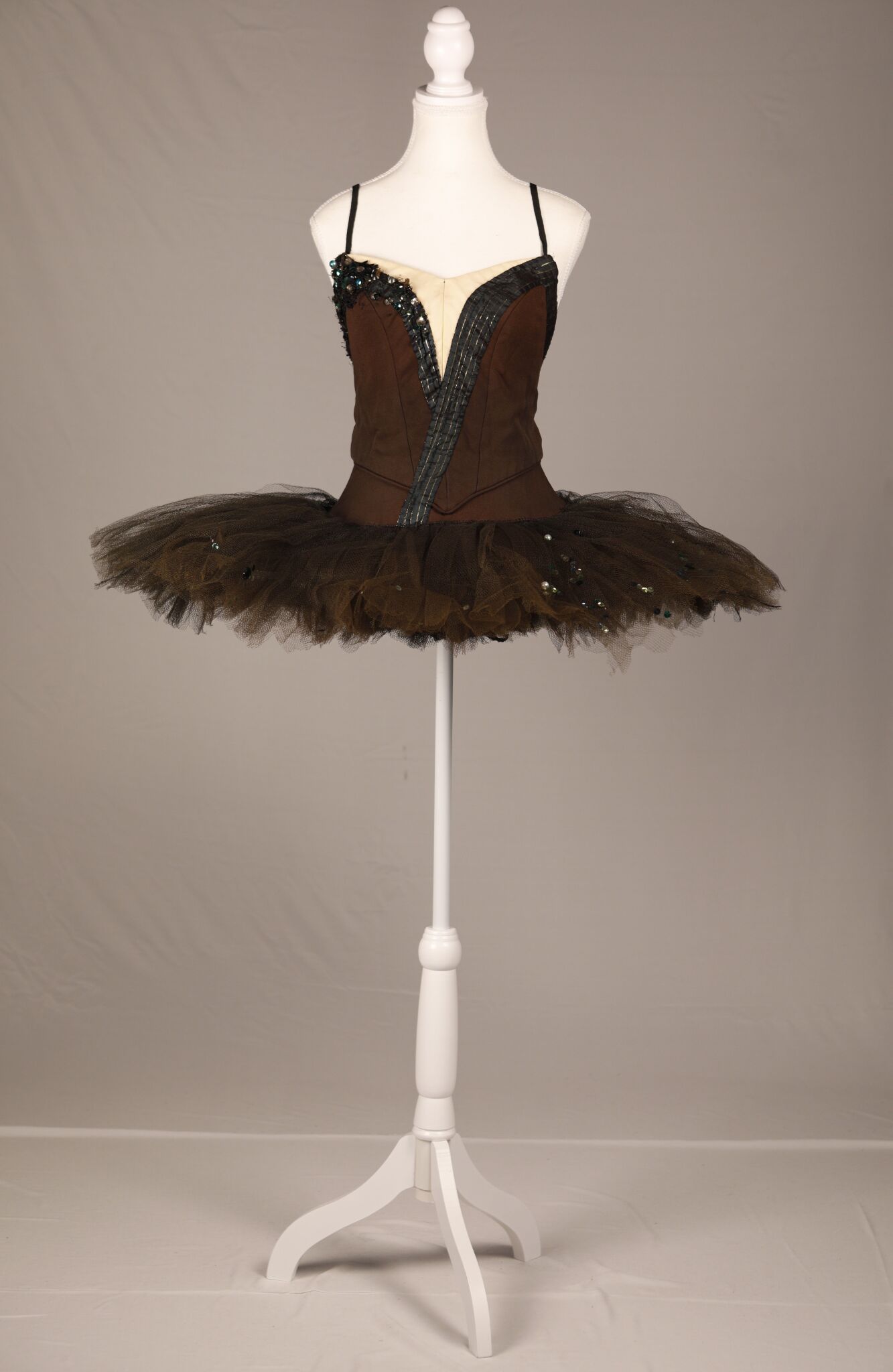 "Swan Lake" Tutu / Tutu du "Swan Lake"