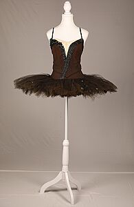 "Swan Lake" Tutu / Tutu du "Swan Lake"